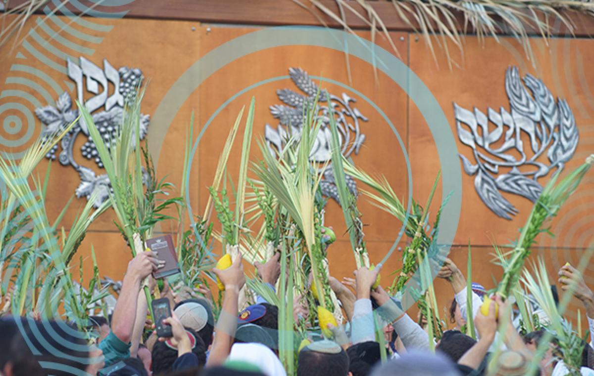 Sukkot