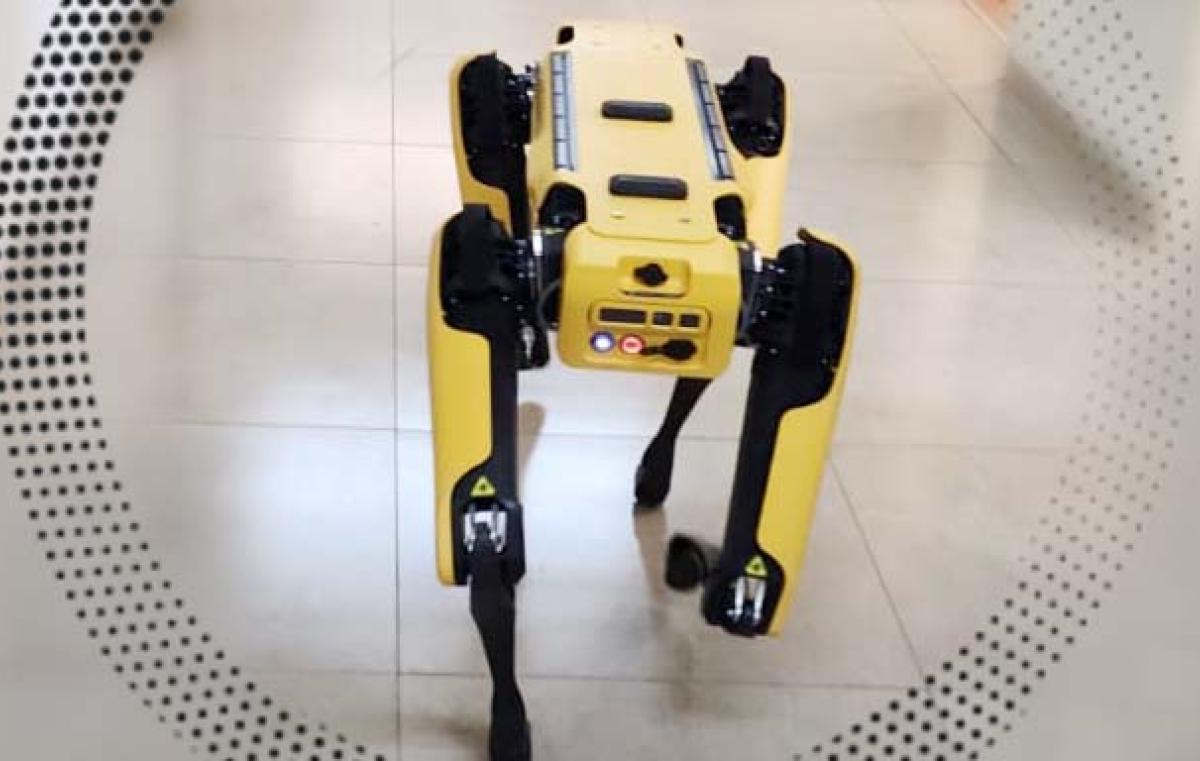 List of robotic dogs - Wikipedia